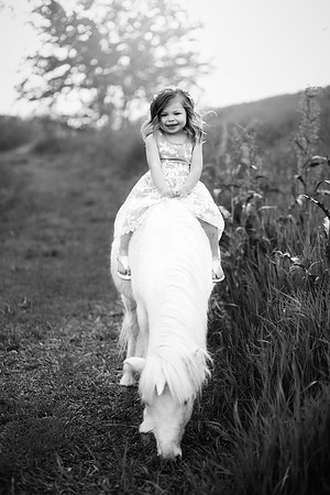 xEden Unicorn-24