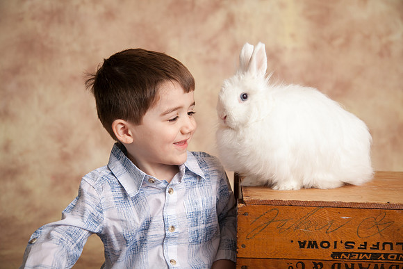 Bunny-2016-32