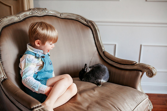 Bunny 2025-28