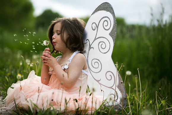Fairy 2019-42