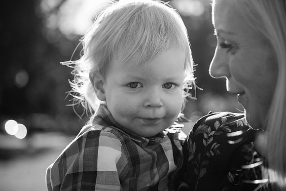 Family 2017-262