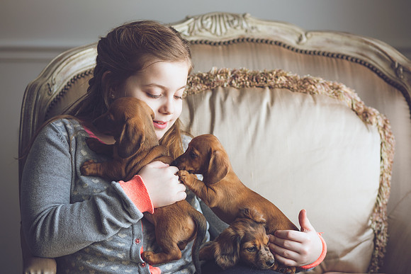 Puppies_-34