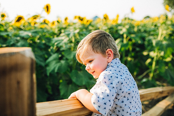 Sunflowers-189