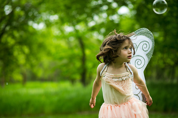 Fairy 2019-26