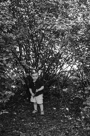 Daddy & I 2018 BW-302