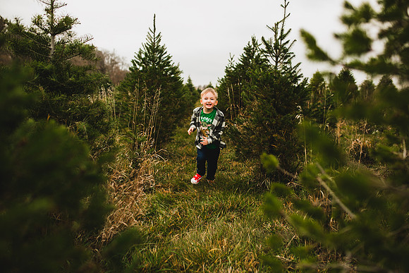 Tree Farm 2020-34