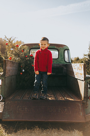Tree Farm-42