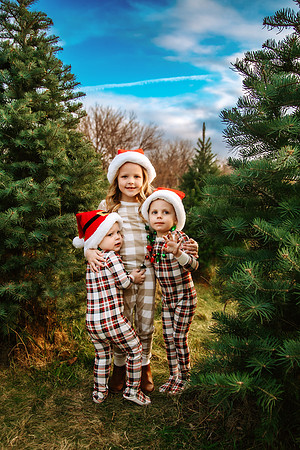 Tree Farm 2024-24