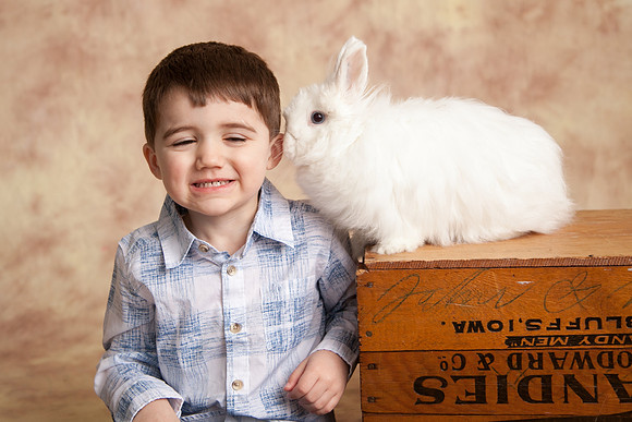 Bunny-2016-27