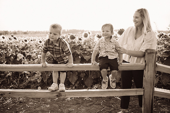 xSunflowers-175