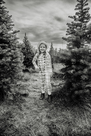 xTree Farm 2024-59