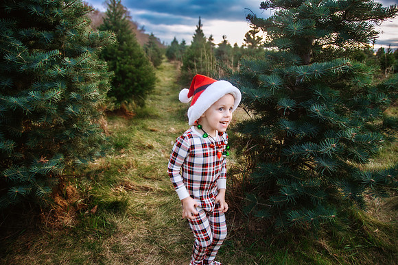 Tree Farm 2024-47