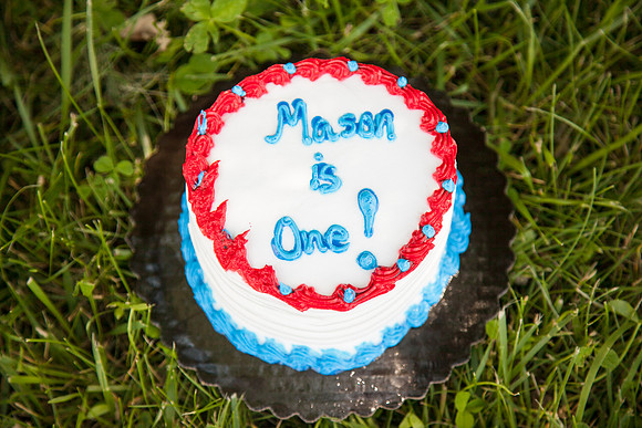 Mason 1yr-46