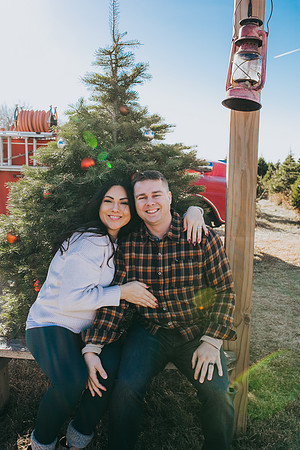 Tree Farm 2022-5