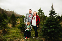 Tree Farm 2020-19