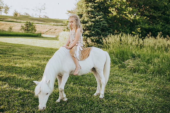 Unicorn 2021-29