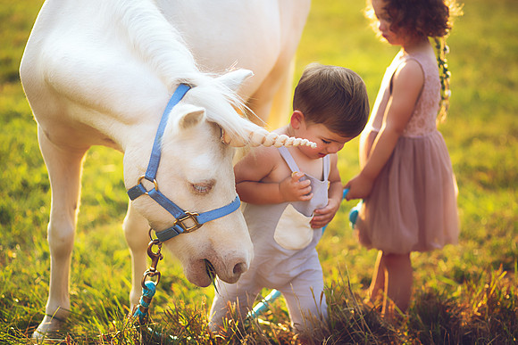 Unicorn-29