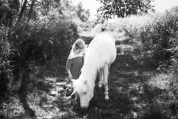 xUnicorn-24