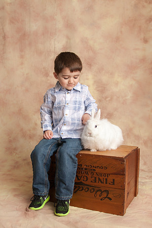 Bunny-2016-23