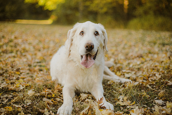 Fall 2021-222