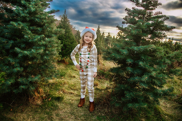Tree Farm 2024-65