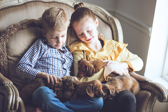 Puppies_-30