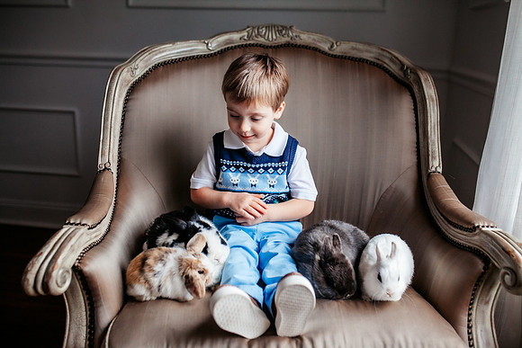 Bunny 2025-24