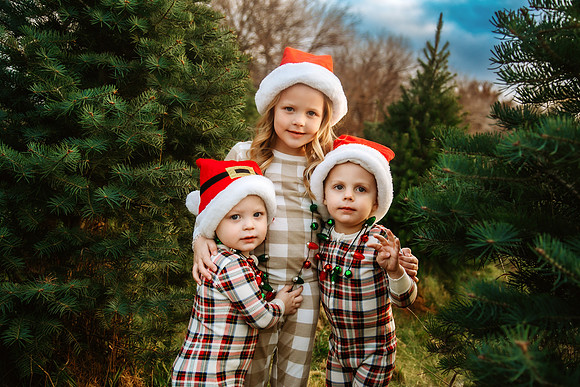 Tree Farm 2024-26