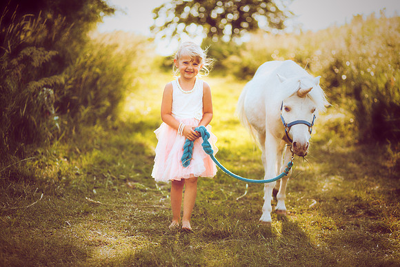 Unicorn-24