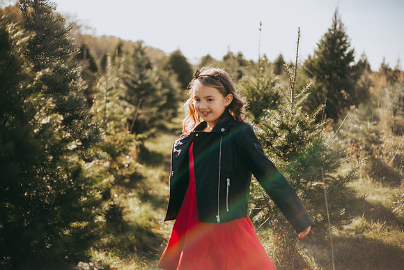 Tree Farm-54