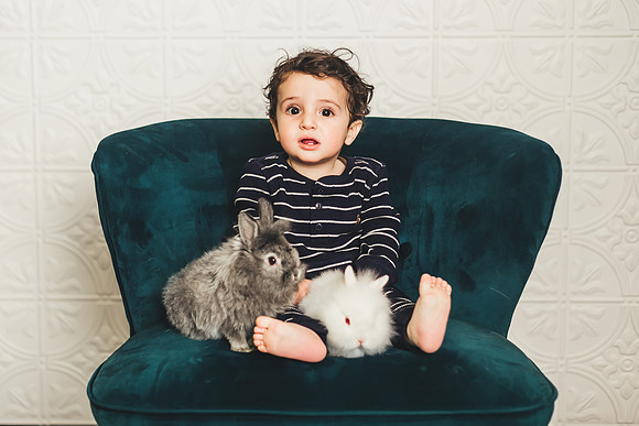 Bunnies-43
