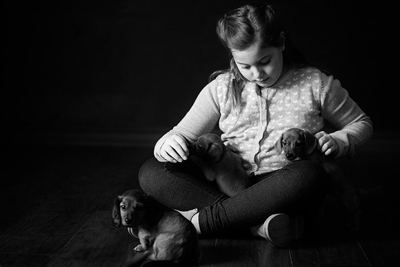 Puppies_-56