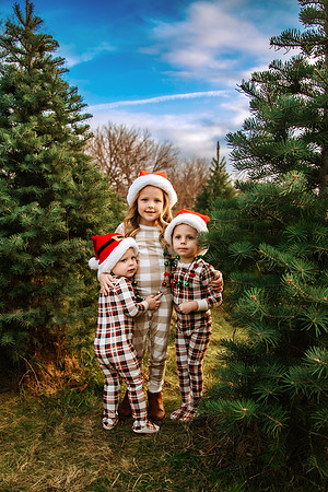 Tree Farm 2024-22