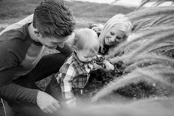 Family 2017-244