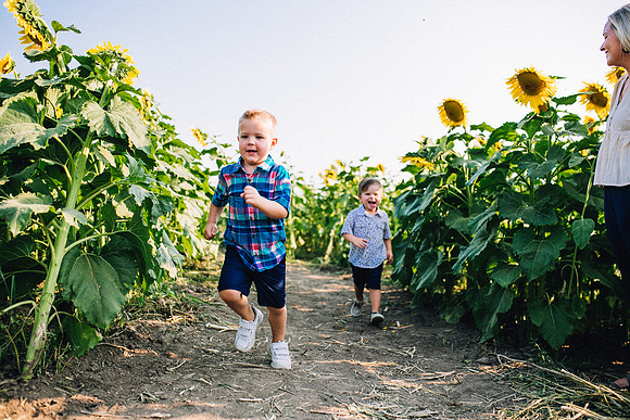 Sunflowers-44