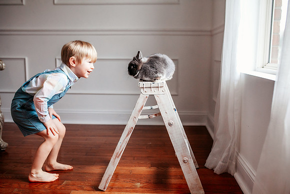 Bunny 2025-25