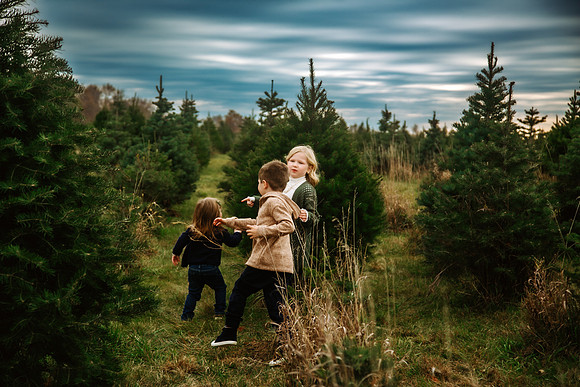 Tree Farm 2024-31