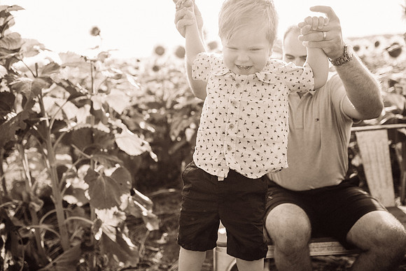 xSunflowers-118