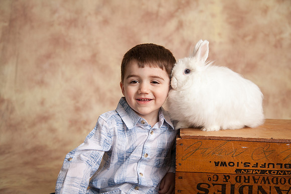 Bunny-2016-33