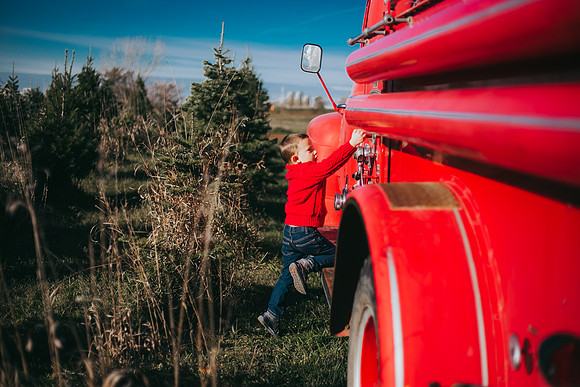 Tree Farm-22