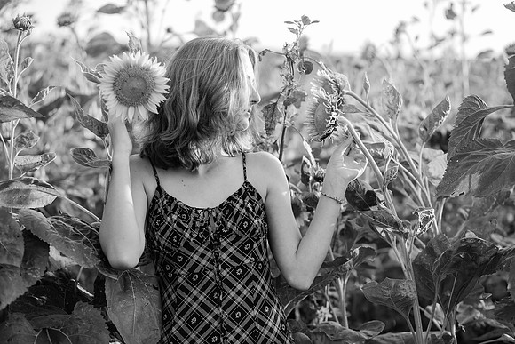xSunflowers 2021-65