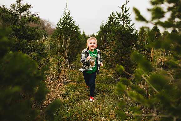 Tree Farm 2020-35
