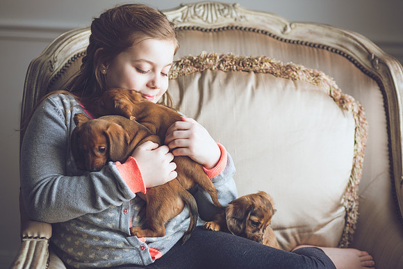 Puppies_-35