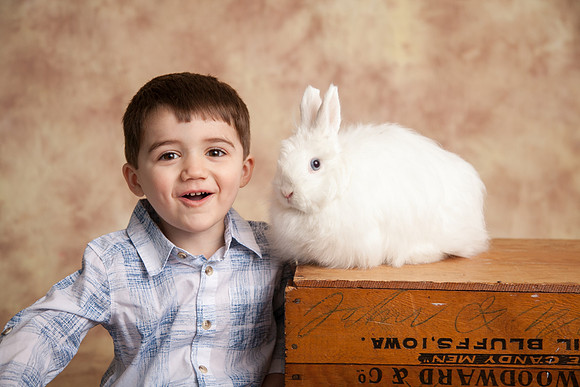 Bunny-2016-31