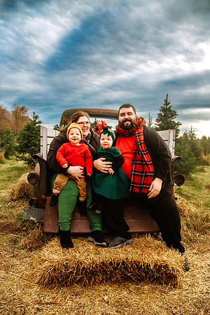 Tree Farm 2024-24