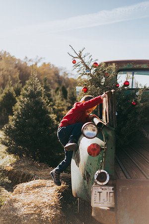 Tree Farm-68