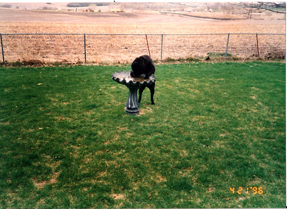 Loki 091