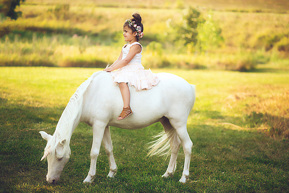Unicorn
