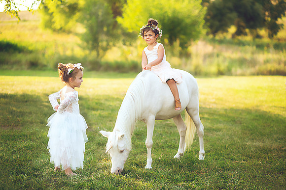 Unicorn-5