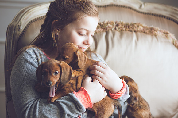 Puppies_-36